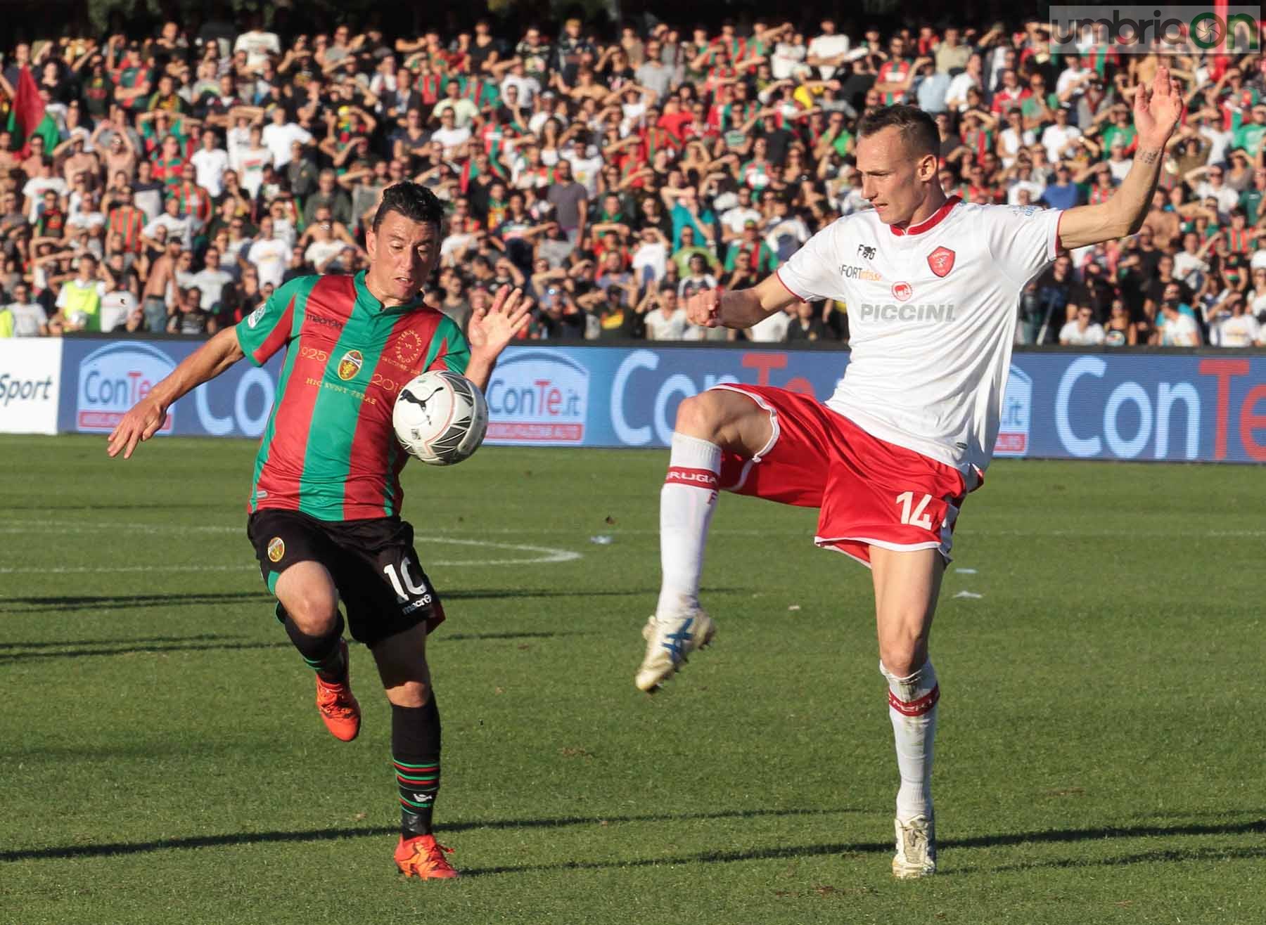 Ternana - Perugia 24 ottobre 2015 (Foto Mirimao) (80)