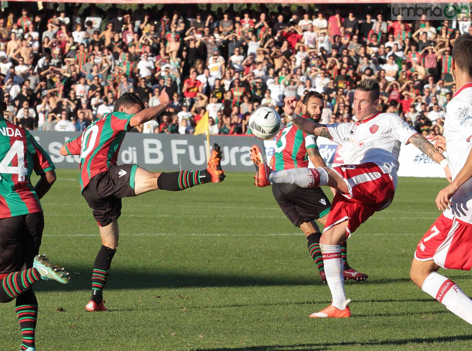 Ternana - Perugia 24 ottobre 2015 (Foto Mirimao) (81)