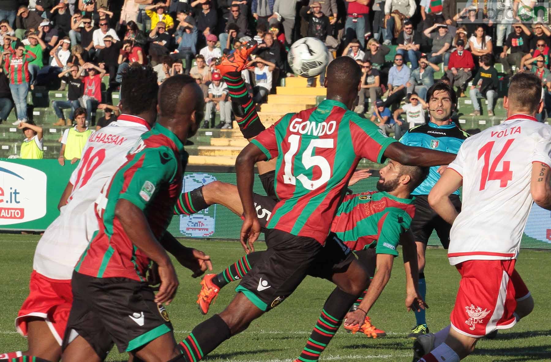 Ternana - Perugia 24 ottobre 2015 (Foto Mirimao) (83)