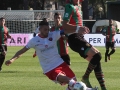 Ternana - Perugia 24 ottobre 2015 (Foto Mirimao) (31)