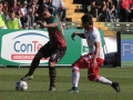 Ternana - Perugia 24 ottobre 2015 (Foto Mirimao) (37)