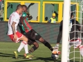 Ternana - Perugia 24 ottobre 2015 (Foto Mirimao) (76)