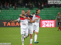 Ternana-Picerno5229- A.Mirimao