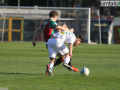 Ternana PordenoneGZ7F1161- A.Mirimao