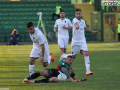 Ternana PordenoneGZ7F1458- A.Mirimao