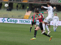 ternana pro vercelli_7403- A.Mirimao