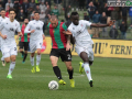 ternana pro vercelli_7439- A.Mirimao