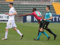 ternana pro vercelli_7529- A.Mirimao