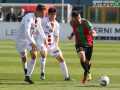 ternana trapaniIMG_9152 si- A.Mirimao
