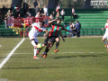 Ternana-TriestinaGZ7F4243-foto A.Mirimao