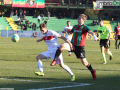 Ternana-TriestinaGZ7F4481-foto A.Mirimao