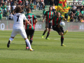 ternana venezia _6769-foto A.Mirimao on