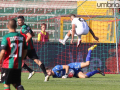 ternana venezia _7138-foto A.Mirimao on