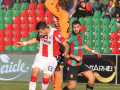 Ternana VicenzaTernana Vicenza4419- A.Mirimao