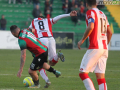 Ternana VicenzaTernana Vicenza4674- A.Mirimao