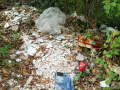terni cervara papigno discarica guardia nazionale ambientale (1)