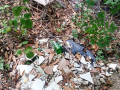 terni cervara papigno discarica guardia nazionale ambientale (4)