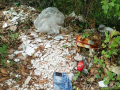 terni cervara papigno discarica guardia nazionale ambientale (9)