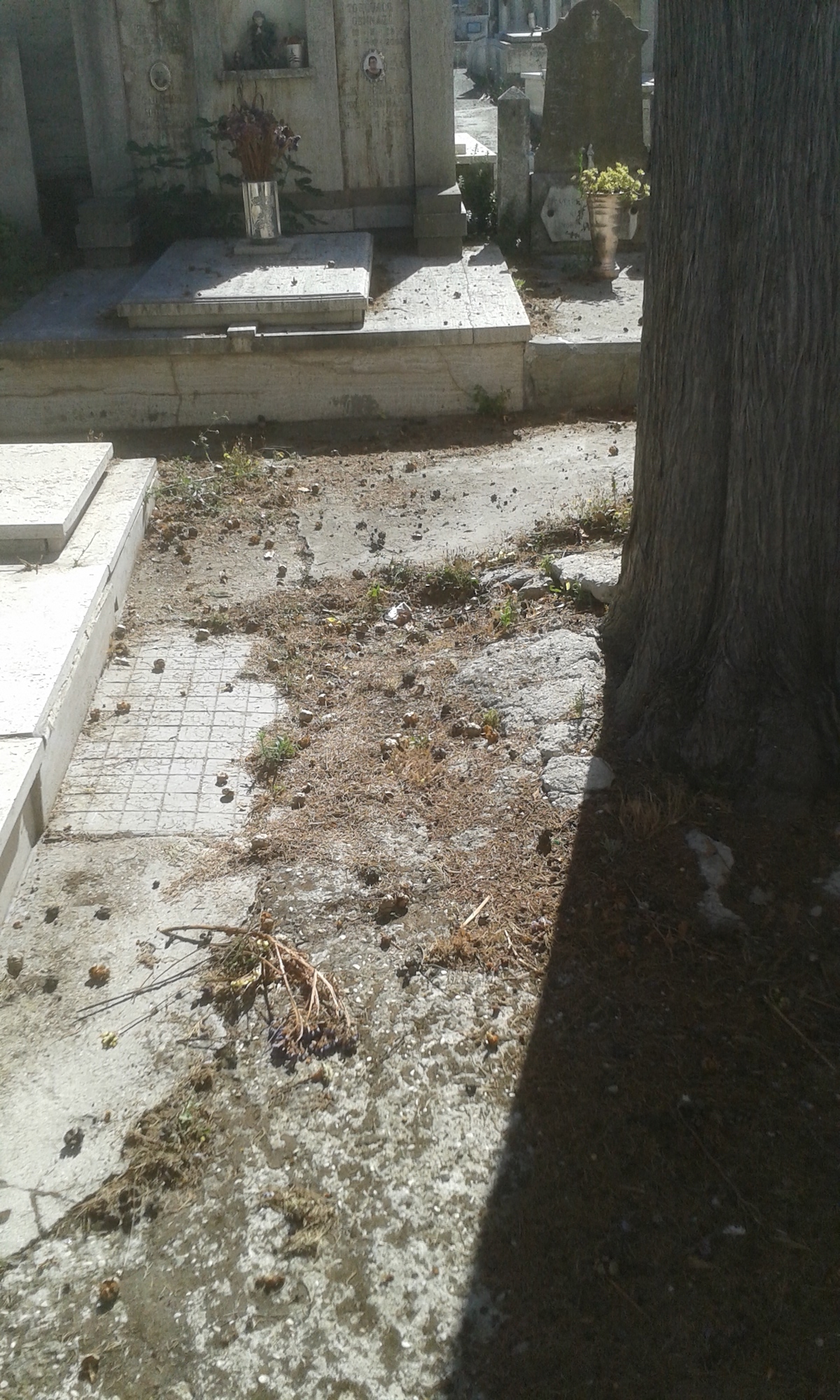Terni-cimitero-Collescipoli2