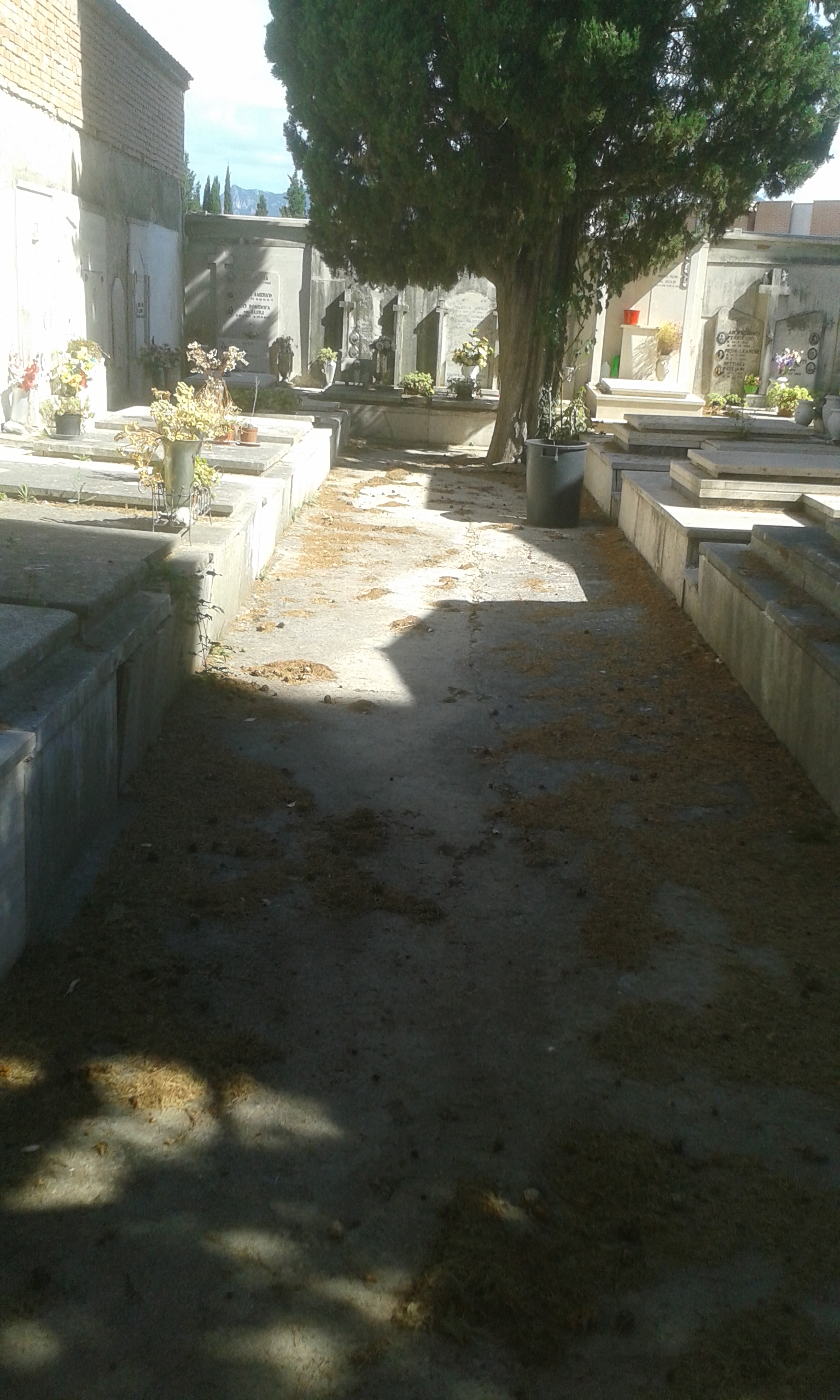 Terni-cimitero-Collescipoli8