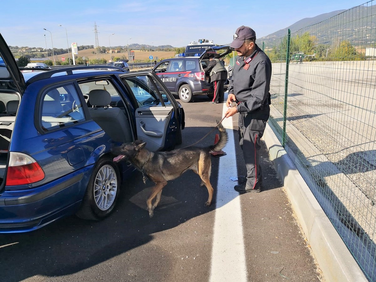 Unità-cinofila-carabinieri-controlli-Rato-E45-Terni-cane-19-ottobre-2018