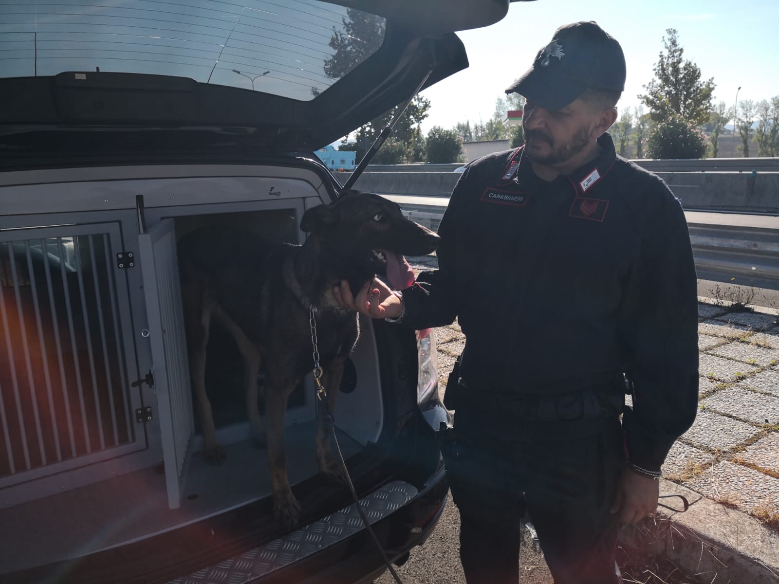 cane-unità-cinofila-carabinieri-Terni-controllo-cani