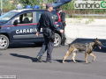 carabinieri-Mirimao-Rato-Terni-verifiche-controllo-raccordo-E45IMG-20181019-WA0060