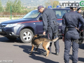 carabinieri-Mirimao-Rato-Terni-verifiche-controllo-raccordo-E45IMG-20181019-WA0063