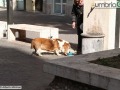 Terni Covid Coronavirus città vuota_1098- A.Mirimao