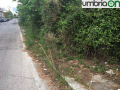 Terni-via-Irma-Bandiera13