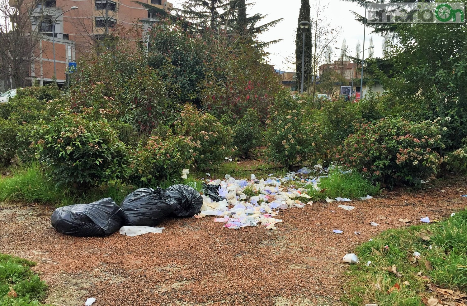 Terni, degrado parco Suzanne Noël di via Magenta, San Giovanni - 25 febbraio 2017 (8)