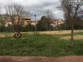 Terni, degrado parco Suzanne Noël di via Magenta, San Giovanni - 25 febbraio 2017 (6)