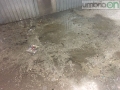 terni fango liquami1