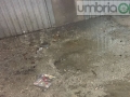 terni fango liquami4