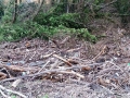 Collestatte-fiume-Nera-pescatori-2