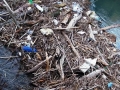 Collestatte-fiume-Nera-pescatori-5