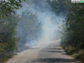 terni incendio campomaggiore cesi (14)