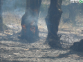 terni incendio campomaggiore cesi (24)