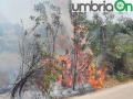 terni incendio campomaggiore cesi (7)