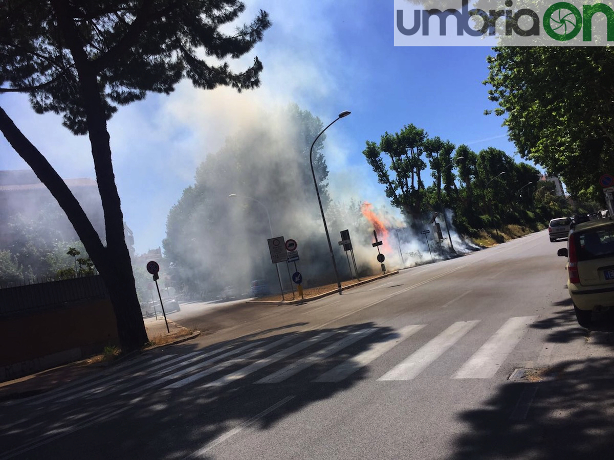 Terni incendio clt8 copy