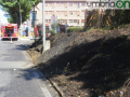 Terni incendio clt12 copy