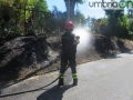 Terni incendio clt15 copy