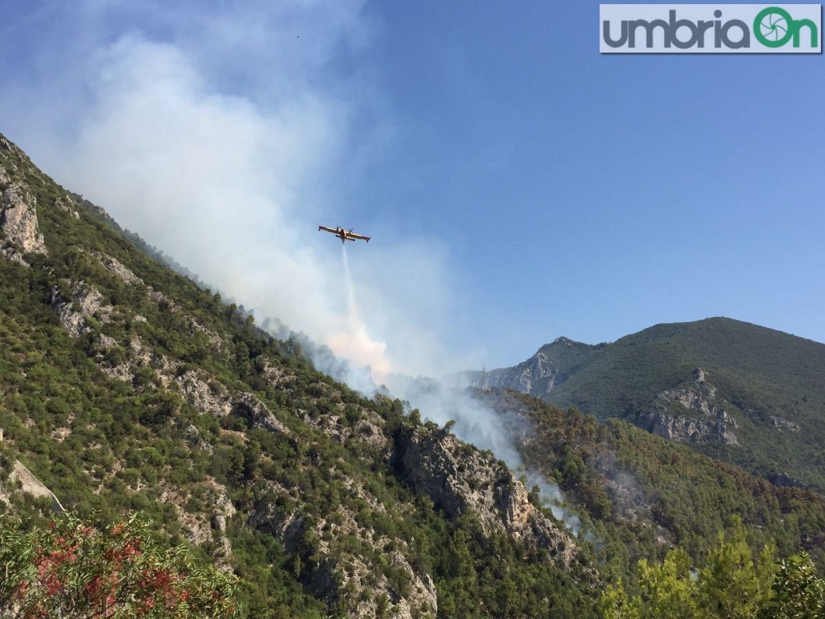 Il Canadair in azione