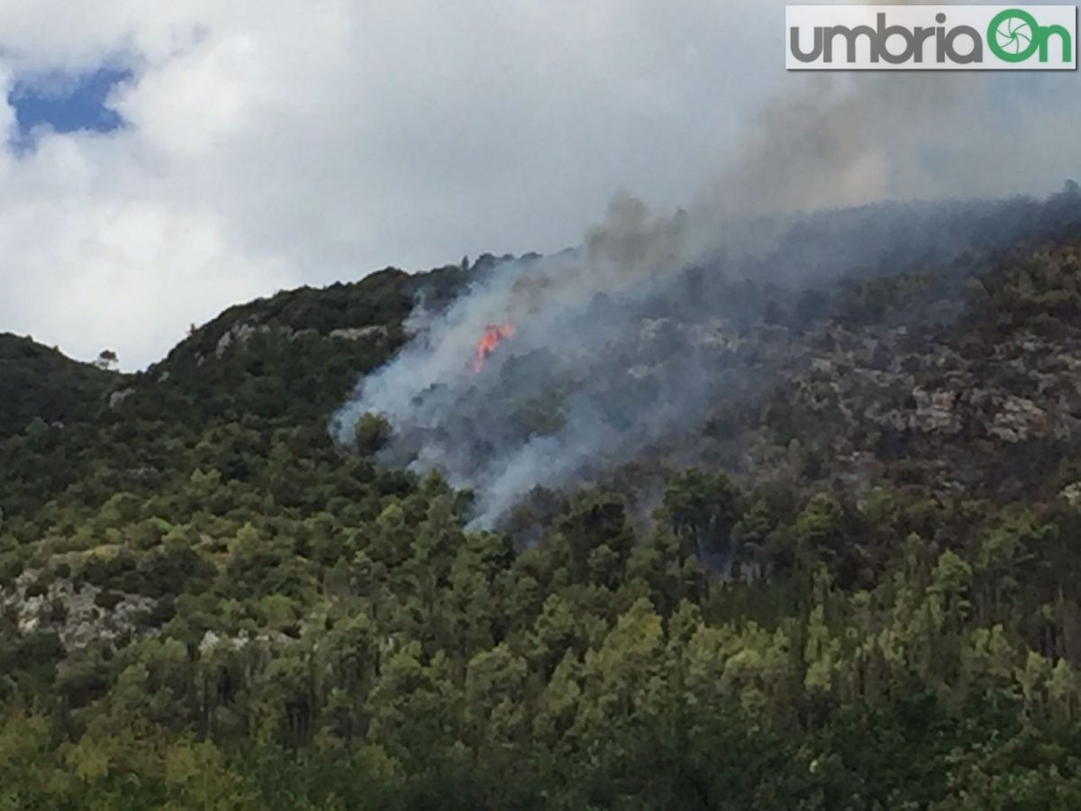 incendio-fuoco-fiamme-Terni-strada-mandorla-e1502456407896