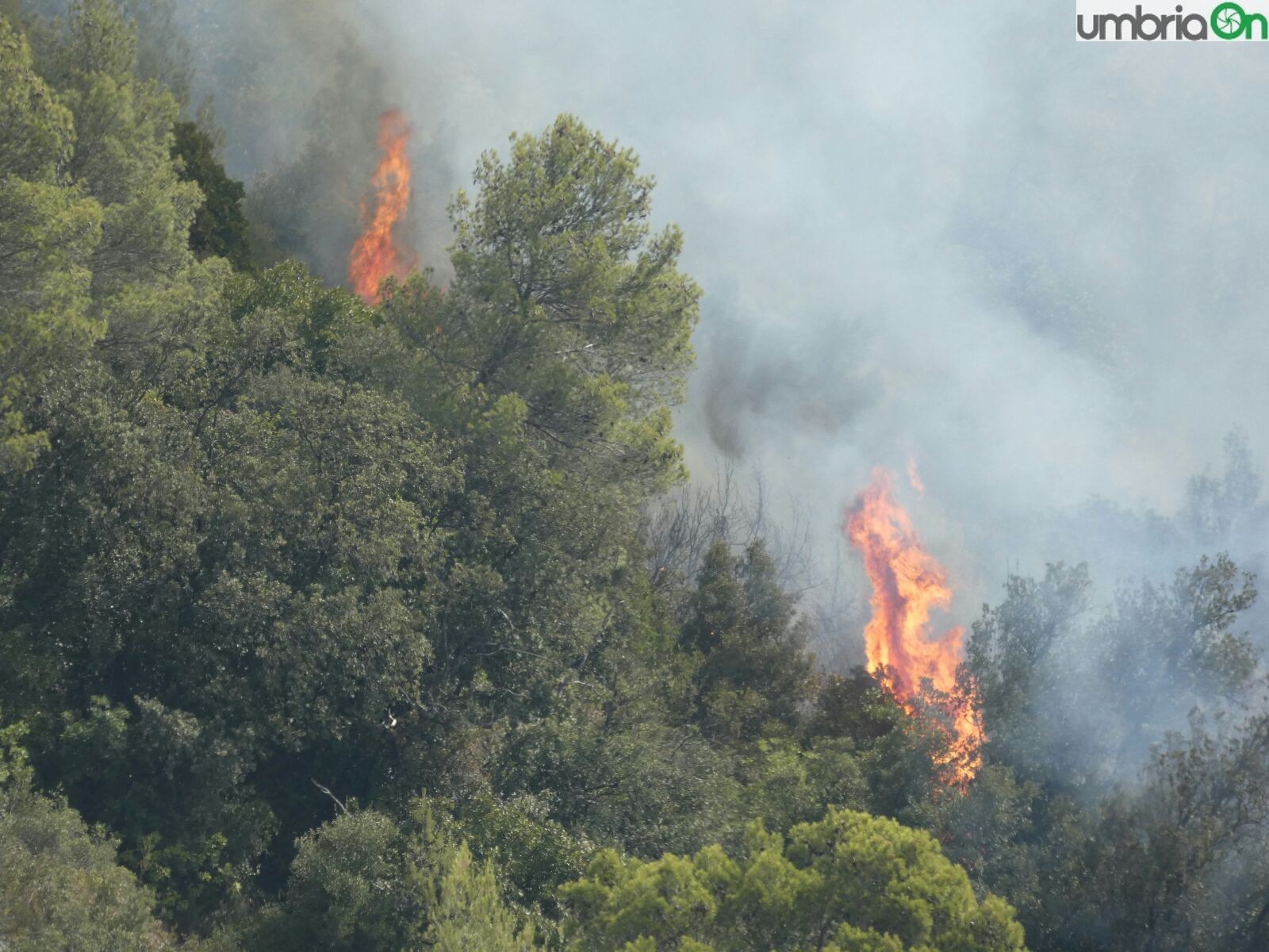 terni incendio rocca san zenone giovedì (34)