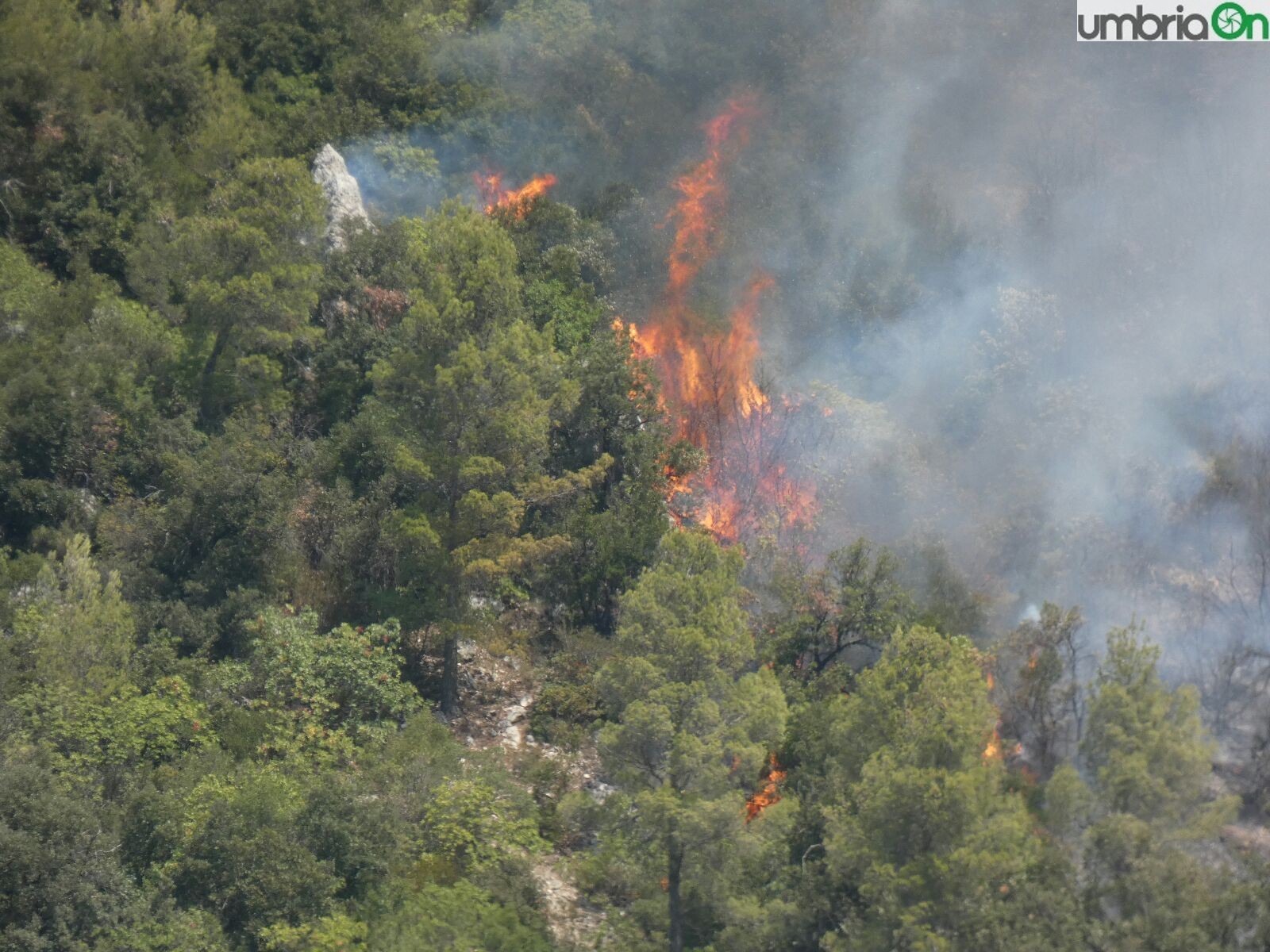 terni incendio rocca san zenone giovedì (42)