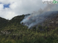 incendio-fuoco-fiamme-Terni-strada-mandorla-32322-e1502456388570