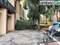 VIA-DI-VITTORIO-ALBERO-CADUTO-RAMO-PINO-tERNI