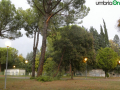 terni-stadio-albero-caduto-rami-1