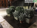 Terni neve4 copy